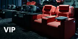 Luxury VIP